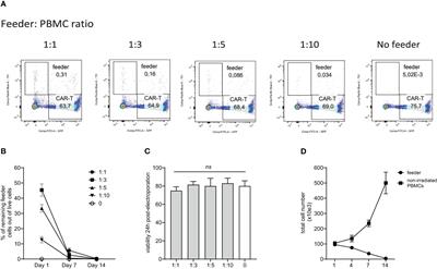 Good manufacturing practice-grade generation of CD19 and CD123-specific CAR-T cells using piggyBac transposon and allogeneic feeder cells in patients diagnosed with B-cell non-Hodgkin lymphoma and acute myeloid leukemia